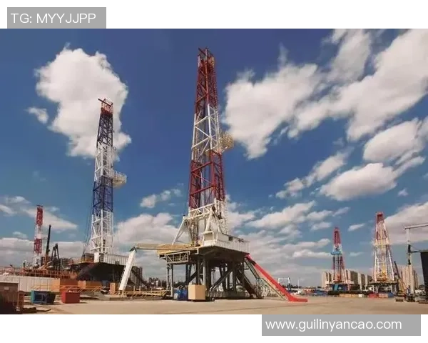 宝鸡姚明星：探索地方文化与现代发展的交融之路