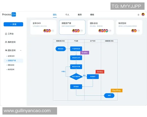 西安羽毛球队的团队协作与战术配合深度分析与探讨