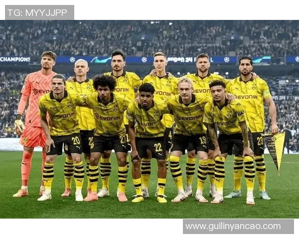 友谊赛精彩回顾：里昂以一球小胜多特蒙德战术解析与精彩瞬间分享