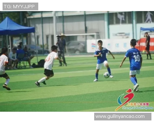 陈强谈排球生涯：从青涩少年到国家队的奋斗与荣耀